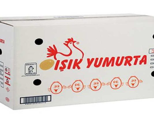Işık Yumurta