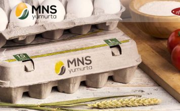 MNS Yumurta