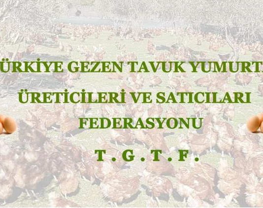 Türkiye Gezen Tavuk Yumurta Üreticileri ve Satıcıları Federasyonu
