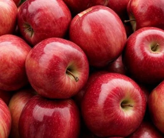 Elma, tarih boyunca insan beslenmesinde önemli bir yer tutmuş meyvelerden biridir. İlk olarak Orta Asya’da yetiştirilen elma, zamanla Avrupa ve dünya mutfaklarına yayılmıştır. Farklı türleri ve tat çeşitleri ile elma, hem taze tüketim hem de yemek ve tatlı tariflerinde sıkça kullanılır. Konulu bir hayat görseli.