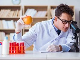 Gıda sektörü, hem çeşitlilik hem de kalite açısından sürekli gelişen ve değişen bir alan olarak karşımıza çıkıyor. Gıda ürün incelemeleri, tüketicilerin doğru tercih yapabilmesi için önemli bir yol gösterici haline gelmiştir. Her geçen gün raflara eklenen yeni ürünler, tüketiciler için hem fırsat hem de risk oluşturabiliyor. Ürünlerin içerik bilgileri, besin değerleri ve üretim yöntemleri hakkında detaylı bilgiye sahip olmak, sağlıklı beslenme hedefi olan herkes için kritik bir adımdır. Konulu bir haber görseli.