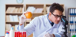 Gıda sektörü, hem çeşitlilik hem de kalite açısından sürekli gelişen ve değişen bir alan olarak karşımıza çıkıyor. Gıda ürün incelemeleri, tüketicilerin doğru tercih yapabilmesi için önemli bir yol gösterici haline gelmiştir. Her geçen gün raflara eklenen yeni ürünler, tüketiciler için hem fırsat hem de risk oluşturabiliyor. Ürünlerin içerik bilgileri, besin değerleri ve üretim yöntemleri hakkında detaylı bilgiye sahip olmak, sağlıklı beslenme hedefi olan herkes için kritik bir adımdır. Konulu bir haber görseli.