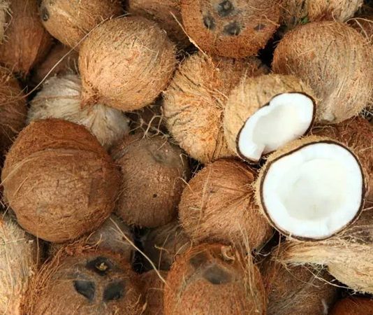 Hindistancevizi yağı, mutfaklarda hem sağlıklı hem de aromatik bir pişirme malzemesi olarak öne çıkar. Hindistancevizi yağıyla pişirme, yiyeceklerin doğal lezzetini korumasına ve aroma kazanmasına yardımcı olur. Özellikle kavurma tekniklerinde bu yağ, yiyeceklerin dış yüzeyini hafifçe kızartırken iç dokusunu yumuşak bırakır. Konulu bir haber görseli.