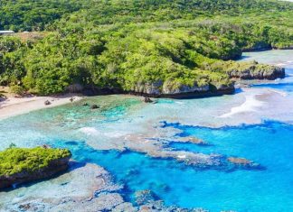 Niue Mutfağı Niue Mutfağı, Güney Pasifik’in küçük ama zengin kültürel geçmişe sahip adası Niue’nin geleneksel yemeklerini ve beslenme alışkanlıklarını yansıtır. Ada halkı yüzyıllardır deniz ürünleri, tropikal meyveler ve kök sebzeleri kullanarak kendine özgü tarifler geliştirmiştir. Hindistancevizi, taro, balık ve muz, Niue mutfağının temel ögeleri arasında yer alır.