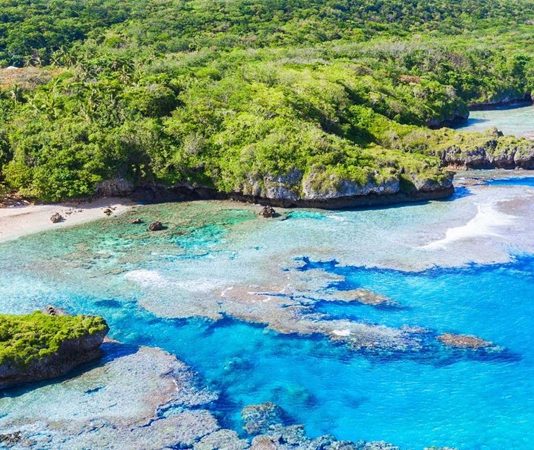 Niue Mutfağı, Güney Pasifik’in küçük ama zengin kültürel geçmişe sahip adası Niue’nin geleneksel yemeklerini ve beslenme alışkanlıklarını yansıtır. Ada halkı yüzyıllardır deniz ürünleri, tropikal meyveler ve kök sebzeleri kullanarak kendine özgü tarifler geliştirmiştir. Hindistancevizi, taro, balık ve muz, Niue mutfağının temel ögeleri arasında yer alır.