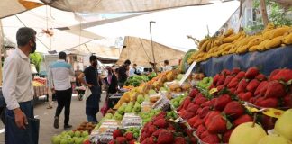 Semt pazarları, şehir hayatının vazgeçilmez parçalarından biridir. Hem ekonomik alışveriş imkânı sunmaları hem de toplumsal bir buluşma noktası olmalarıyla ön plana çıkarlar. Her hafta belirli günlerde kurulan bu pazarlar, şehrin farklı bölgelerindeki insanları bir araya getirir. Tezgâhlarda yer alan taze sebzeler, meyveler, baharatlar ve yerel ürünler, hem damak zevkine hitap eder hem de bölgesel kültürün yaşatılmasına katkı sağlar. Konulu bir haber görseli.