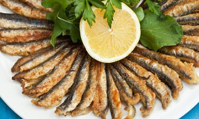 Hamsi, Türkiye’nin Karadeniz bölgesinin ve birçok sahil kentinin vazgeçilmez balığı olarak sofralarda özel bir yere sahiptir. Küçük boyutuna rağmen besin değeri yüksek olan hamsi, özellikle sonbahar ve kış aylarında bolca tüketilir. Hem ekonomik olması hem de kendine has lezzetiyle hamsi, evlerde, balık lokantalarında ve hatta sokak tezgâhlarında sıkça karşımıza çıkar. Sofralarda hamsi, kültürel bir simge olarak da kabul edilir. Konulu bir haber görseli.