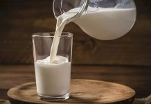 Süt, insanlık tarihi boyunca beslenmenin temel kaynaklarından biri olmuştur. Hayvanlardan elde edilen süt, özellikle inek, keçi ve koyun sütü, farklı kültürlerde gıda olarak uzun yıllardır tüketilmektedir. Tarih boyunca süt, hem besleyici özellikleri hem de sağlık faydaları nedeniyle sofraların vazgeçilmezi olmuştur. Konulu bir haber görseli.