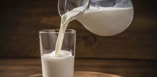 Süt, insanlık tarihi boyunca beslenmenin temel kaynaklarından biri olmuştur. Hayvanlardan elde edilen süt, özellikle inek, keçi ve koyun sütü, farklı kültürlerde gıda olarak uzun yıllardır tüketilmektedir. Tarih boyunca süt, hem besleyici özellikleri hem de sağlık faydaları nedeniyle sofraların vazgeçilmezi olmuştur. Konulu bir haber görseli.