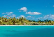 Tuamotu Mutfağı, Fransız Polinezyası’nın geniş bir atol zinciri olan Tuamotu Adaları’nın zengin kültürel geçmişini yansıtan bir gastronomi anlayışıdır. Ada halkı yüzyıllardır deniz ürünleri, tropikal meyveler ve kök sebzeleri kullanarak kendine özgü tarifler geliştirmiştir. Hindistancevizi, balık ve taro, Tuamotu mutfağının temel ögelerindendir. Konulu bir haber görseli.