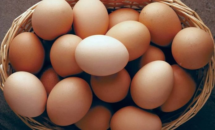 Yumurta, doğanın sunduğu en zengin besin kaynaklarından biri olarak hem günlük hayatta hem de özel tariflerde sıkça tercih edilir. İçeriğinde bulunan yüksek kaliteli protein, kas gelişimini desteklerken vücudun ihtiyaç duyduğu temel aminoasitleri de karşılar. Bu özelliğiyle sporcular, çocuklar ve dengeli beslenmek isteyen kişiler için önemli bir gıda haline gelir. Aynı zamanda yumurta, bağışıklık sistemini güçlendiren vitamin ve mineraller açısından da oldukça zengindir. Konulu bir haber görseli.
