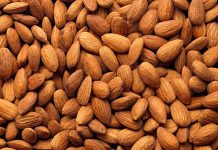 Badem, insanlık tarihinin en eski tarım ürünlerinden biri olarak kabul ediliyor. Orta Asya ve Orta Doğu coğrafyasında binlerce yıl önce yetiştirilmeye başlanan bu değerli kuruyemiş, zamanla tüm dünyaya yayıldı. Osmanlı döneminde hem mutfakta hem de tıpta kullanılan badem, günümüzde de sofraların vazgeçilmez lezzetlerinden biri olarak biliniyor. Konulu bir haber görseli.