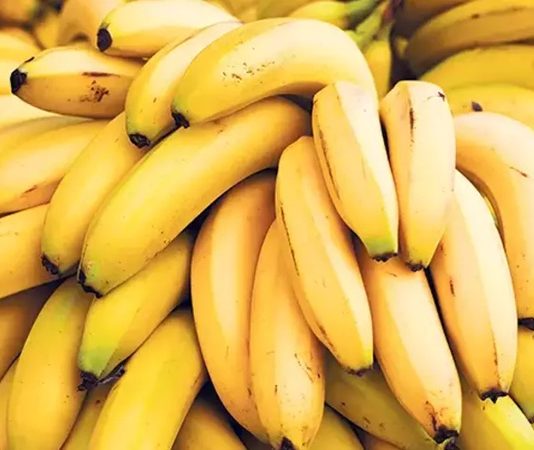 Muzun Faydaları ve Tüketim Alışkanlıkları Hızla Artıyor Muz, içerdiği vitaminler, mineraller ve lif yapısıyla hem sağlıklı beslenme alışkanlıklarının hem de günlük enerji ihtiyacının karşılanmasında önemli bir rol oynuyor. Özellikle potasyum bakımından zengin olan bu meyve, kalp ve damar sağlığının korunmasında etkili kabul ediliyor. Ayrıca magnezyum, B6 vitamini ve C vitamini açısından da güçlü bir kaynak olması, onu yalnızca bir atıştırmalık değil aynı zamanda besleyici bir yiyecek haline getiriyor. Konulu bir haber görseli.