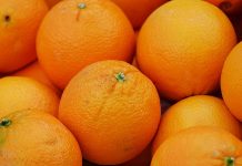 Kış aylarının vazgeçilmez meyvelerinden biri olan portakal, sadece lezzetiyle değil içerdiği besin değerleriyle de dikkat çekiyor. Özellikle C vitamini açısından oldukça zengin olan bu meyve, bağışıklık sistemini güçlendirmede önemli bir role sahip. Soğuk algınlığı ve grip gibi kış hastalıklarına karşı doğal bir koruma sağladığı için portakal, günlük beslenme alışkanlıklarında mutlaka yer alması gereken bir gıda olarak öne çıkıyor. Bunun yanı sıra, içerdiği potasyum, kalsiyum ve lif sayesinde hem kalp sağlığını destekliyor hem de sindirim sistemini düzenliyor. Konulu bir haber görseli.