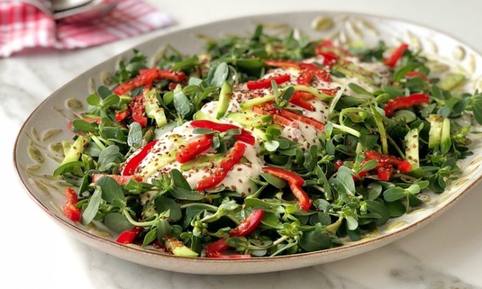 Semizotu Salatası Yaz Sofralarının Taptaze Lezzeti Semizotu Salatası, özellikle yaz aylarında sofraları süsleyen, ferahlatıcı ve sağlıklı bir salata çeşididir. Semizotunun kendine has tadı ve kıtır dokusu, bu salatayı farklı kılan başlıca unsurlardandır. Salatanın kökeni Anadolu mutfağına dayanmakla birlikte, Akdeniz ve Orta Doğu mutfaklarında da uzun yıllardır sofralarda yer alır. Konulu bir haber görseli.