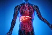 Karaciğer, vücudun en önemli detoks organlarından biridir ve sağlıklı çalışması genel sağlık açısından kritik bir rol oynar. Modern yaşamda işlenmiş gıdalar, alkol ve stres gibi faktörler karaciğerin yükünü artırabilir. Bu nedenle karaciğer temizleme diyeti, vücudu toksinlerden arındırmak, metabolizmayı desteklemek ve enerji seviyelerini yükseltmek için etkili bir yöntem olarak öne çıkıyor. Bu diyet, doğru uygulandığında hem besleyici hem de güvenli bir yaşam tarzı sağlar. Konulu bir haber görseli.