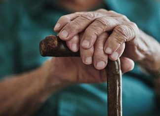 İleri yaş döneminde beslenme, yalnızca karın doyurmakla sınırlı olmayan, doğrudan yaşam kalitesini etkileyen önemli bir faktördür. yaşlı beslenmesi, vücudun değişen ihtiyaçlarına uyum sağlamayı, hastalıklara karşı direnci artırmayı ve günlük yaşamda bağımsızlığı desteklemeyi amaçlar. Yaş ilerledikçe metabolizma yavaşlar, kas kütlesi azalır ve bazı besin ögelerine olan ihtiyaç farklılaşır. Bu nedenle yaşlı beslenmesi, gençlik dönemindeki alışkanlıklardan farklı bir bilinçle ele alınmalıdır.