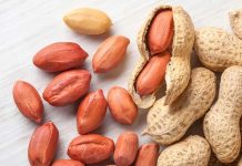 Yer fıstığı, lezzeti ve besin değeriyle pek çok kişinin favori atıştırmalığı olsa da, bazı kişiler için ciddi alerjik reaksiyonlar oluşturabilir. Yer fıstığı alerjisi, özellikle çocuklarda ve gençlerde yaygın görülen bir gıda alerjisidir ve doğru beslenme stratejileriyle yönetilmelidir. Bu bağlamda alerji dostu diyet uygulamaları, hem sağlık hem de yaşam kalitesi açısından büyük önem taşır. İnsanlar artık sadece lezzet değil, aynı zamanda güvenli tüketim açısından da bilinçli seçimler yapıyor. Konulu bir haber görseli.