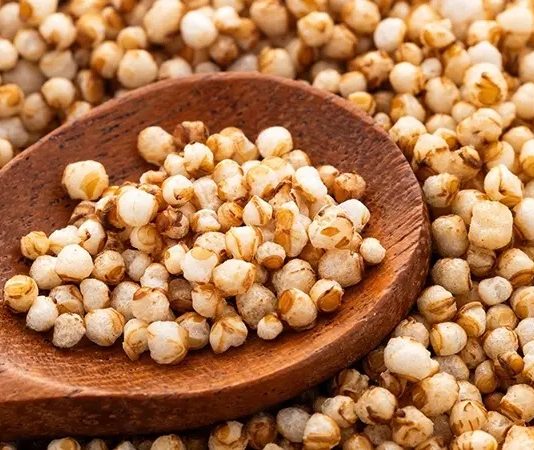 Amarant, son yıllarda hem sağlıklı yaşam arayışında olan tüketicilerin hem de alternatif tarım ürünlerine yönelen üreticilerin dikkatini çeken bir süper gıda olarak öne çıkıyor. Geleneksel tahıllardan farklı olarak botanik açıdan tahıl sayılmayan ancak kullanım alanı ve besin değeriyle tahıllarla benzerlik gösteren amarant, özellikle glutensiz yapısı sayesinde geniş bir kitleye hitap ediyor. Uzmanlar, artan gıda intoleransları ve fonksiyonel beslenme trendleri doğrultusunda amarantın gelecekte daha da yaygınlaşacağını öngörüyor. Konulu bir haber görseli.