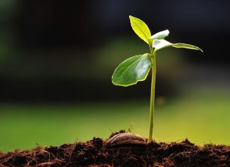 Bitkisel Takviyeler Doğal Yaşam Arayışında Artan İlgi Günümüzde sağlıklı yaşam kavramı giderek daha geniş bir çerçevede ele alınmakta ve yalnızca hastalıklardan korunmayı değil, yaşam kalitesini artırmayı da kapsamaktadır. Bu süreçte doğal kaynaklara yönelim dikkat çekici biçimde artmaktadır. Özellikle bitkisel takviyeler, modern yaşamın getirdiği yoğun tempo ve düzensiz beslenme alışkanlıkları karşısında destekleyici bir unsur olarak öne çıkmaktadır. Bitkilerden elde edilen bu ürünler, yüzyıllardır farklı kültürlerde kullanılan geleneksel bilgiyle günümüz ihtiyaçlarını bir araya getirmektedir. Konulu bir haber görseli.