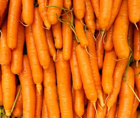 Sebze dünyasının en tanınan üyelerinden biri olan havuç, hem besleyici içeriği hem de mutfakta sunduğu çok yönlü kullanım alanlarıyla her dönemde ilgi görmeye devam ediyor. Parlak turuncu rengiyle tezgâhlarda hemen fark edilen havuç, salatalardan çorbalara, ana yemeklerden tatlılara kadar pek çok tarifte kendine yer buluyor. Özellikle sağlıklı yaşam trendlerinin yükselmesiyle birlikte havuç tüketimi, son yıllarda belirgin bir artış göstermiş durumda. Konulu bir haber görseli.