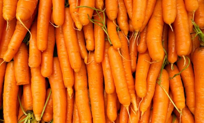 Sebze dünyasının en tanınan üyelerinden biri olan havuç, hem besleyici içeriği hem de mutfakta sunduğu çok yönlü kullanım alanlarıyla her dönemde ilgi görmeye devam ediyor. Parlak turuncu rengiyle tezgâhlarda hemen fark edilen havuç, salatalardan çorbalara, ana yemeklerden tatlılara kadar pek çok tarifte kendine yer buluyor. Özellikle sağlıklı yaşam trendlerinin yükselmesiyle birlikte havuç tüketimi, son yıllarda belirgin bir artış göstermiş durumda. Konulu bir haber görseli.