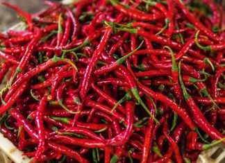 Kırmızı Biberin Sofralardaki Renkli Yolculuğu Kırmızı biber, mutfak kültürünün en dikkat çekici ve en yaygın kullanılan ürünlerinden biri olarak hem rengi hem de aromasıyla öne çıkar. Tatlıdan acıya uzanan geniş lezzet skalası sayesinde kırmızı biber, farklı damak zevklerine hitap edebilen nadir gıda ürünleri arasında yer alır. Dünya mutfaklarında önemli bir yere sahip olan bu ürün, sadece yemeklere tat katmakla kalmaz, aynı zamanda görsel açıdan da sofralara canlılık kazandırır. Konulu bir haber görseli.