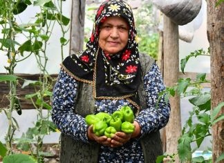 Organik Sebzeler Doğal Beslenmenin Yükselen Değeri Son yıllarda sağlıklı yaşam arayışının artmasıyla birlikte organik sebzeler gıda tercihlerinde çok daha görünür hale geldi. Tüketiciler artık sadece doyurucu değil, aynı zamanda doğaya ve insan sağlığına zarar vermeyen ürünlere yöneliyor. Bu yönelim, tarım anlayışını da kökten değiştirirken, kimyasal girdilerden uzak üretim modellerini ön plana çıkarıyor. Özellikle şehir hayatının getirdiği hızlı tüketim alışkanlıkları, insanları daha bilinçli seçimler yapmaya itiyor. Konulu bir haber görseli.