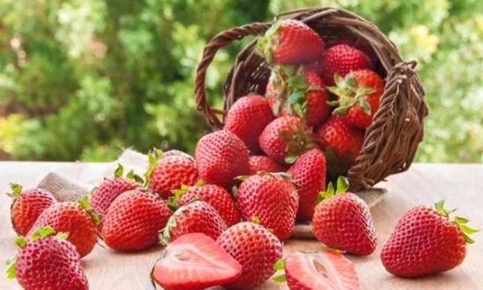 Yaz Meyveleri İle Mevsiminde Tüketimin Sofralara Getirdiği Doğal Lezzet Sıcak havaların kendini hissettirmesiyle birlikte beslenme alışkanlıkları da değişmeye başlıyor. Kışın daha ağır ve sıcak yemeklere yönelen tüketiciler, yaz aylarında ferahlatıcı ve hafif gıdaları tercih ediyor. Bu dönemde öne çıkan ürünlerin başında ise yaz meyveleri geliyor. Renkli görünümleri, doğal aromaları ve serinletici etkileriyle yaz meyveleri, hem mutfaklarda hem de günlük atıştırmalıklarda önemli bir yer tutuyor. Konulu bir haber görseli.