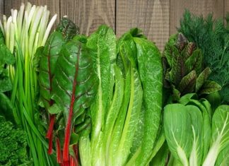 Yeşillik Ve Otlarla Doğal Beslenmenin Gücü Artıyor Günlük beslenme alışkanlıklarında sadeleşme ve doğala yönelme eğilimi giderek güçlenirken, yeşillik ve otlar bu dönüşümün merkezinde yer alıyor. Sofralarda daha fazla yer bulmaya başlayan bu ürünler, yalnızca lezzet unsuru olarak değil, aynı zamanda sağlıklı yaşamın temel bileşenleri olarak görülüyor. Doğadan doğrudan gelen bu besinler, minimal işlemle tüketildiği için besin değerlerini büyük ölçüde koruyor. Konulu bir haber görseli.