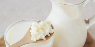 Yoğurt ve kefir, yüzyıllardır Anadolu mutfağının temel taşları arasında yer alırken günümüzde modern beslenme anlayışının da vazgeçilmez ürünleri haline geldi. Özellikle yoğurt ve kefir, doğal fermantasyon süreçleri sayesinde hem lezzet hem de besin değeri açısından öne çıkıyor. Son yıllarda sağlıklı yaşam trendlerinin yükselmesiyle birlikte bu iki fermente süt ürünü, sadece geleneksel sofralarda değil, sporcu beslenmesinden diyet listelerine kadar geniş bir alanda tüketiliyor. Konulu bir haber görseli.