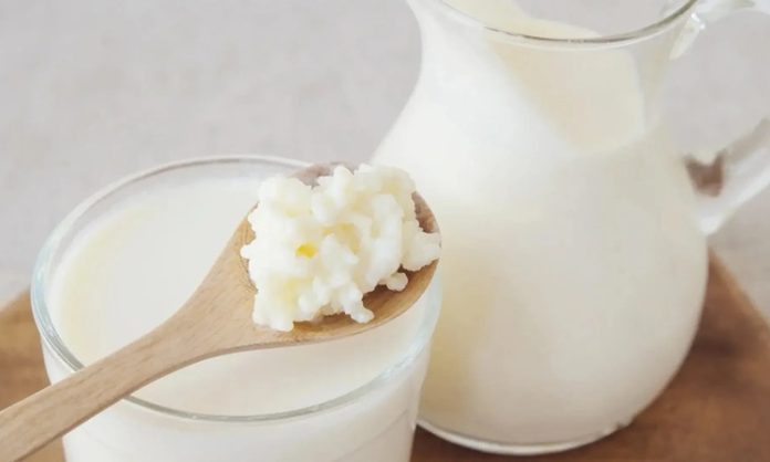 Yoğurt ve kefir, yüzyıllardır Anadolu mutfağının temel taşları arasında yer alırken günümüzde modern beslenme anlayışının da vazgeçilmez ürünleri haline geldi. Özellikle yoğurt ve kefir, doğal fermantasyon süreçleri sayesinde hem lezzet hem de besin değeri açısından öne çıkıyor. Son yıllarda sağlıklı yaşam trendlerinin yükselmesiyle birlikte bu iki fermente süt ürünü, sadece geleneksel sofralarda değil, sporcu beslenmesinden diyet listelerine kadar geniş bir alanda tüketiliyor. Konulu bir haber görseli.