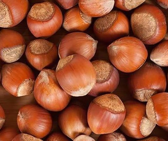 Sağlıklı beslenme denildiğinde akla gelen ilk doğal gıdalar arasında fındık, badem ve ceviz yer alıyor. Yüzyıllardır hem geleneksel mutfaklarda hem de modern beslenme programlarında önemli bir konuma sahip olan bu kuruyemişler, zengin besin değerleriyle dikkat çekiyor. Günlük hayatta ara öğünlerden kahvaltı sofralarına, tatlılardan salatalara kadar pek çok alanda kullanılan bu ürünler, doğal yapıları sayesinde dengeli beslenmenin temel taşlarından biri olarak görülüyor. Konulu bir haber görseli.